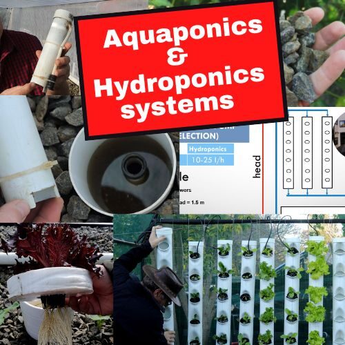 Aquaponics & Hydroponics systems – (Full course)
