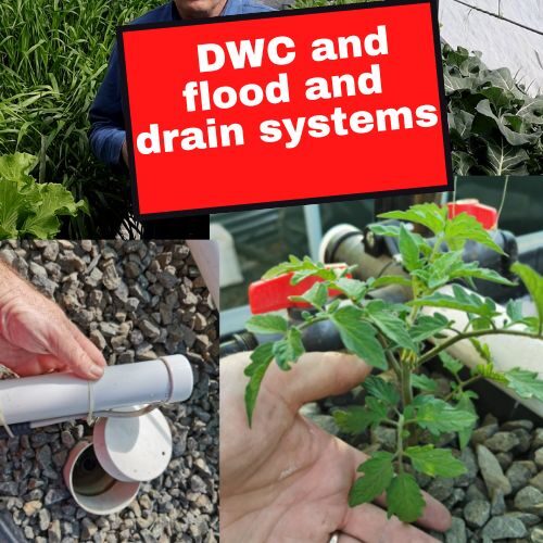 DWC and flood and drain systems
